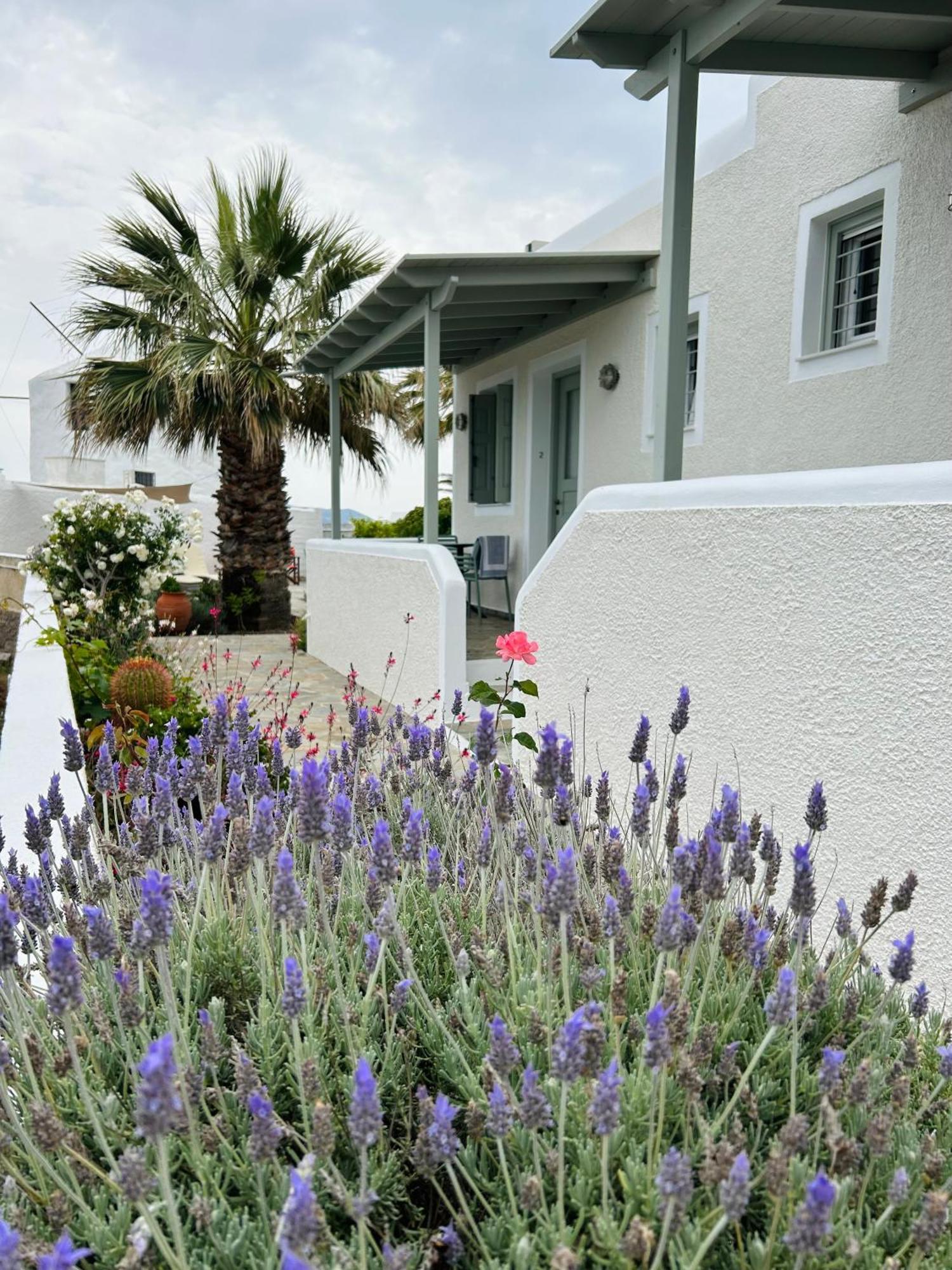 Chaido Studios Plaka (Milos) Exterior foto